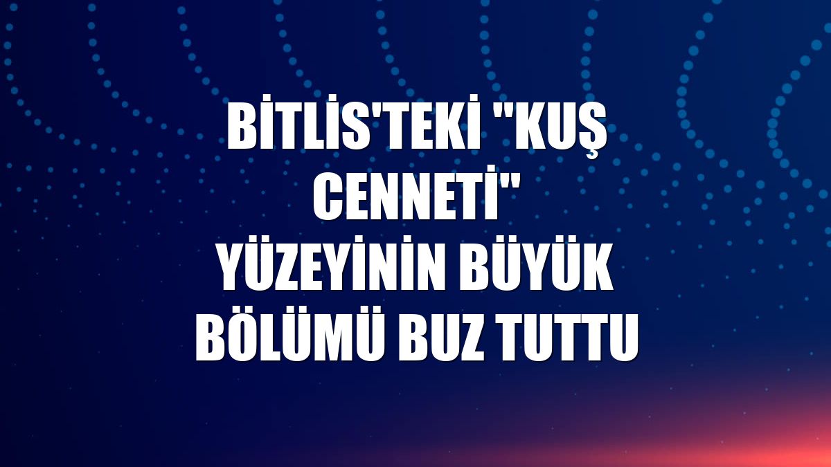 Bitlis'teki "kuş cenneti" yüzeyinin büyük bölümü buz tuttu