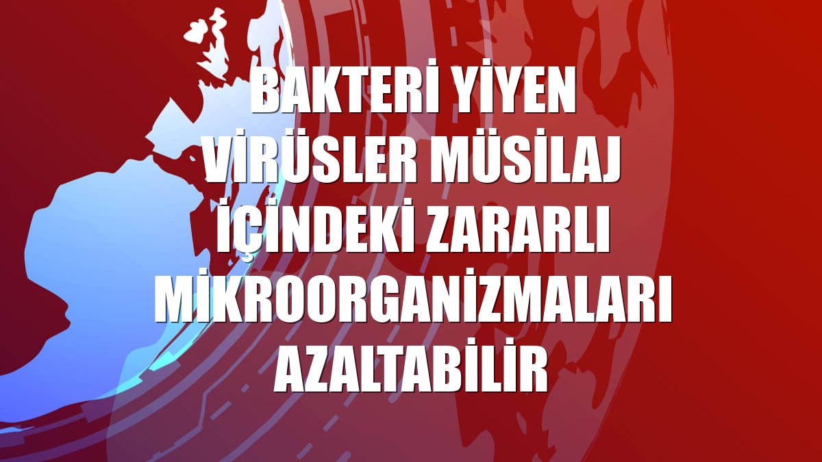 Bakteri yiyen virüsler müsilaj içindeki zararlı mikroorganizmaları azaltabilir