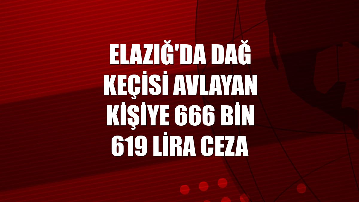 Elazığ'da dağ keçisi avlayan kişiye 666 bin 619 lira ceza