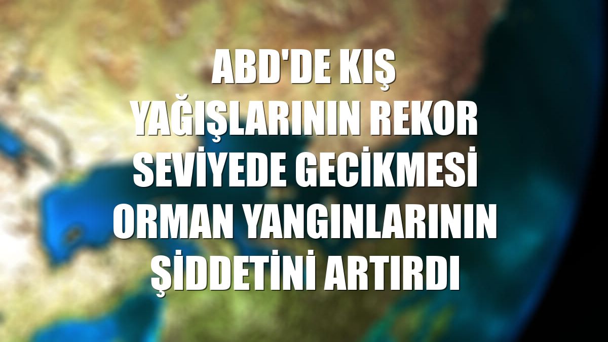 ABD'de kış yağışlarının rekor seviyede gecikmesi orman yangınlarının şiddetini artırdı