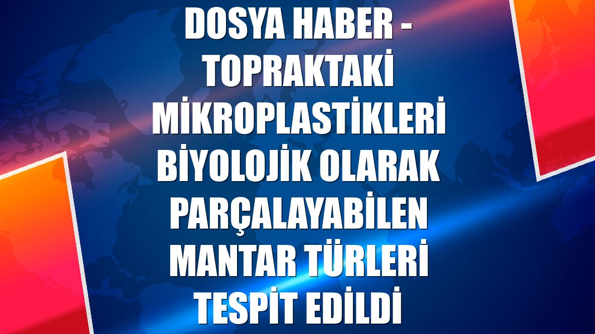 DOSYA HABER - Topraktaki mikroplastikleri biyolojik olarak parçalayabilen mantar türleri tespit edildi