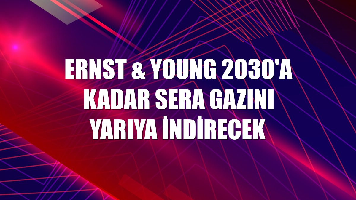 Ernst & Young 2030'a kadar sera gazını yarıya indirecek