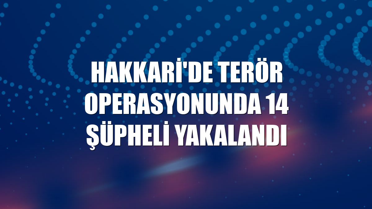 Hakkari'de terör operasyonunda 14 şüpheli yakalandı