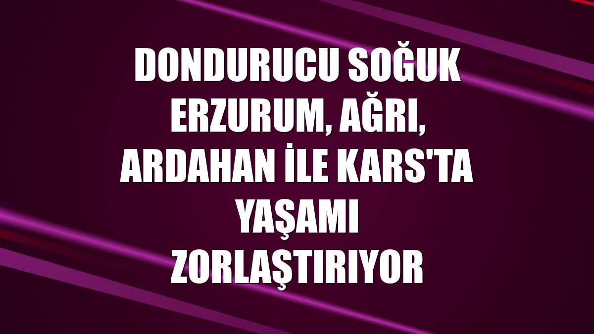 Dondurucu soğuk Erzurum, Ağrı, Ardahan ile Kars'ta yaşamı zorlaştırıyor