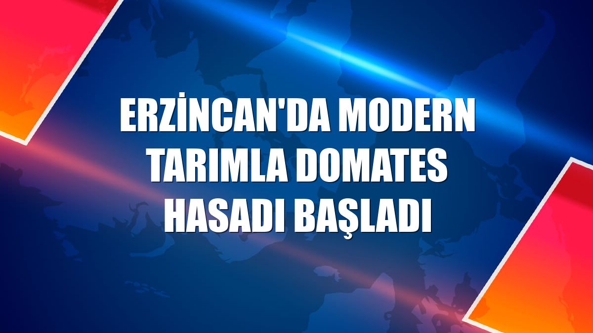 Erzincan'da modern tarımla domates hasadı başladı