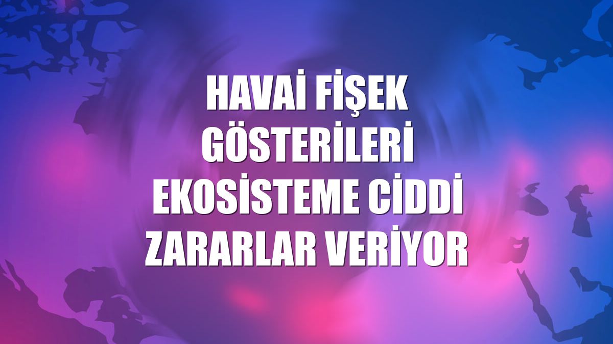 Havai fişek gösterileri ekosisteme ciddi zararlar veriyor