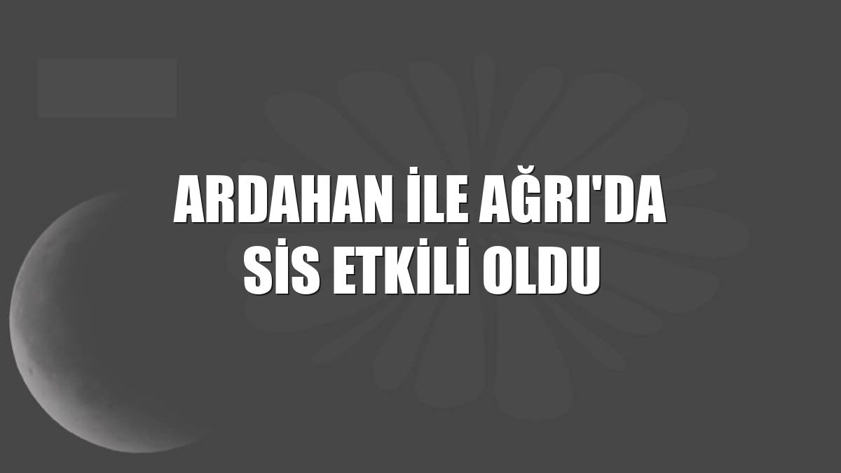 Ardahan ile Ağrı'da sis etkili oldu