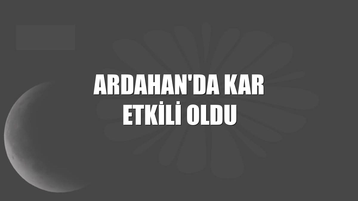 Ardahan'da kar etkili oldu