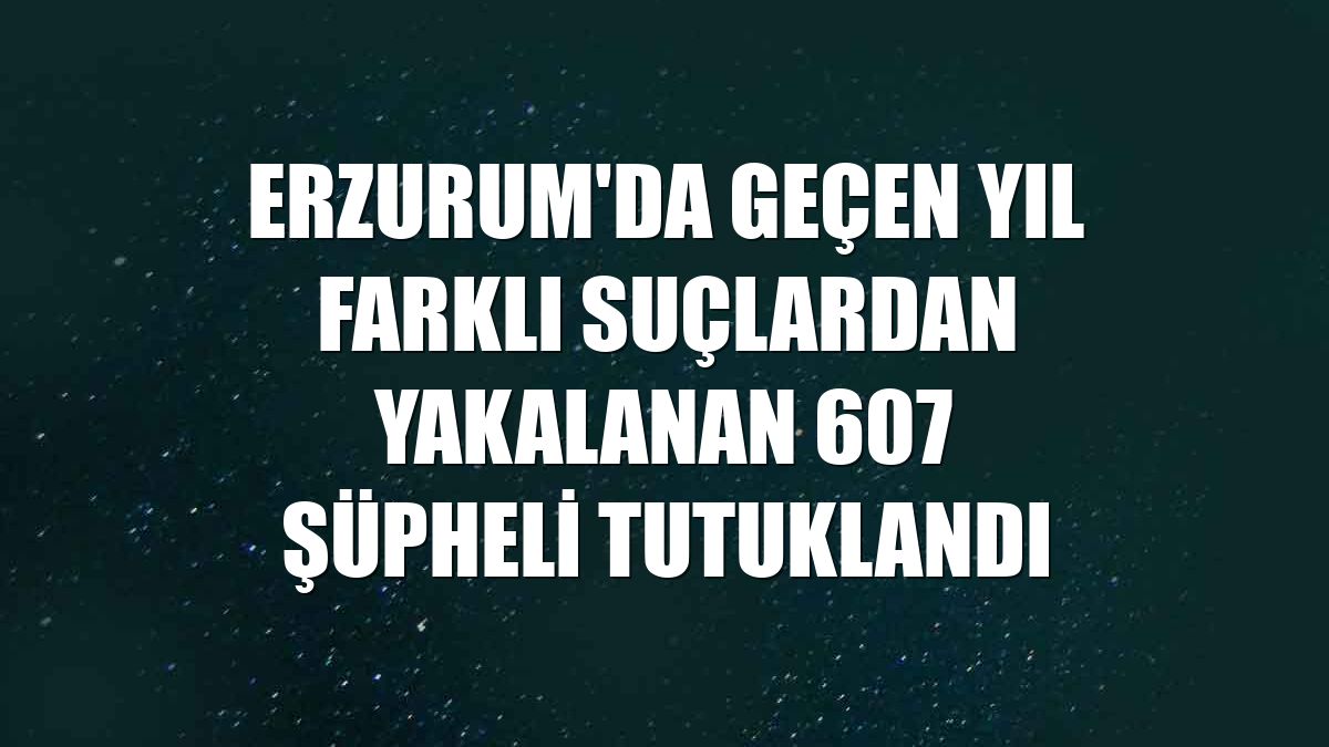 Erzurum'da geçen yıl farklı suçlardan yakalanan 607 şüpheli tutuklandı