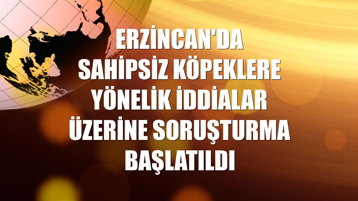 Erzincan'da sahipsiz köpeklere yönelik iddialar üzerine soruşturma başlatıldı