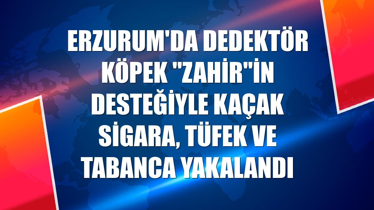 Erzurum'da dedektör köpek "Zahir"in desteğiyle kaçak sigara, tüfek ve tabanca yakalandı