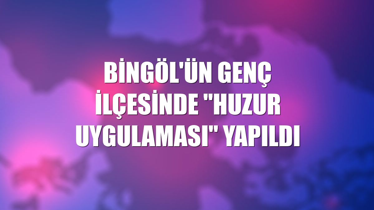 Bingöl'ün Genç ilçesinde "huzur uygulaması" yapıldı