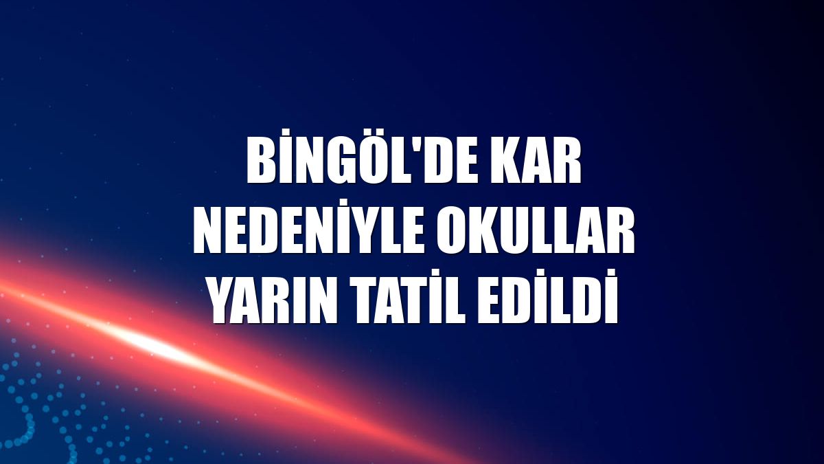 Bingöl'de kar nedeniyle okullar yarın tatil edildi