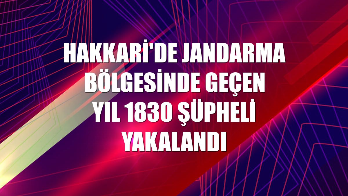 Hakkari'de jandarma bölgesinde geçen yıl 1830 şüpheli yakalandı