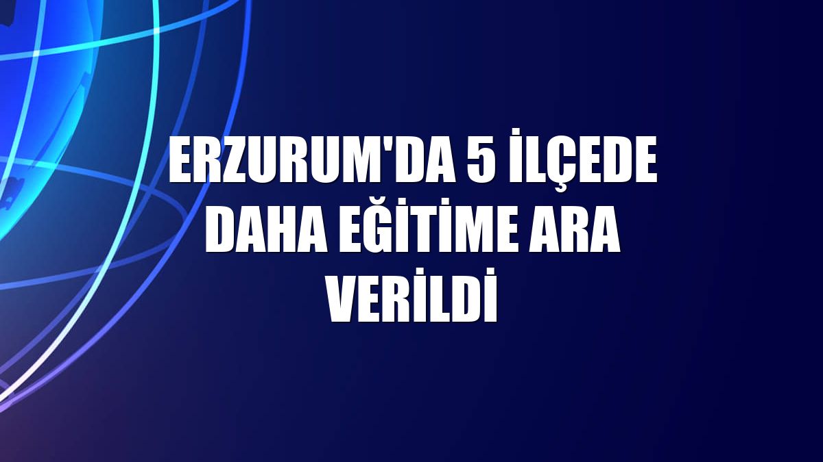 Erzurum'da 5 ilçede daha eğitime ara verildi