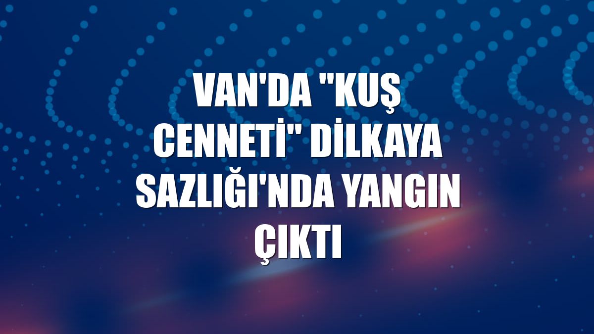 Van'da "kuş cenneti" Dilkaya Sazlığı'nda yangın çıktı