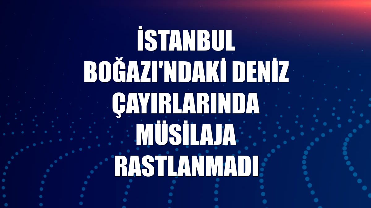 İstanbul Boğazı'ndaki deniz çayırlarında müsilaja rastlanmadı