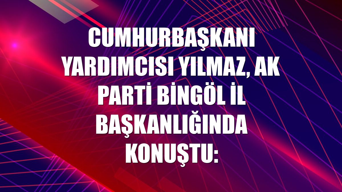 Cumhurbaşkanı Yardımcısı Yılmaz, AK Parti Bingöl İl Başkanlığında konuştu: