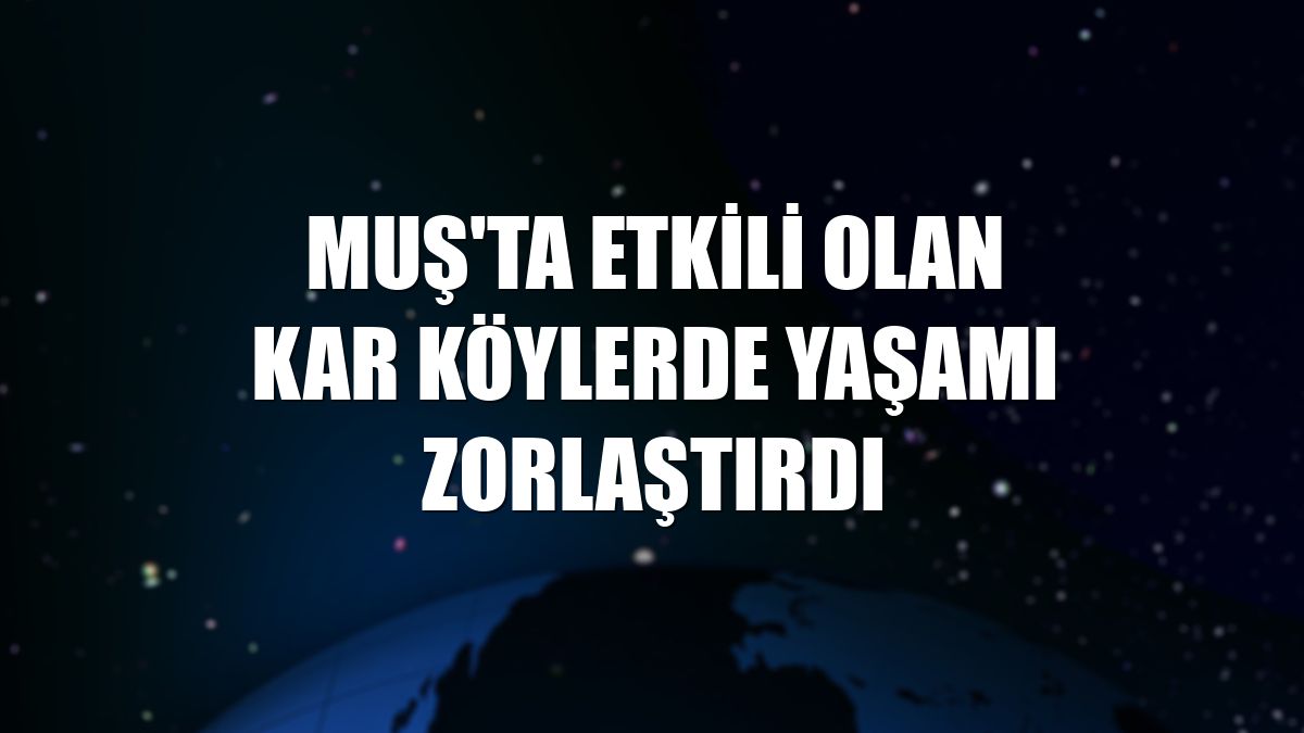 Muş'ta etkili olan kar köylerde yaşamı zorlaştırdı