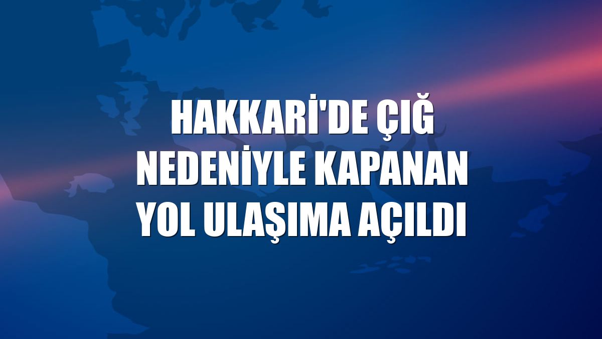 Hakkari'de çığ nedeniyle kapanan yol ulaşıma açıldı