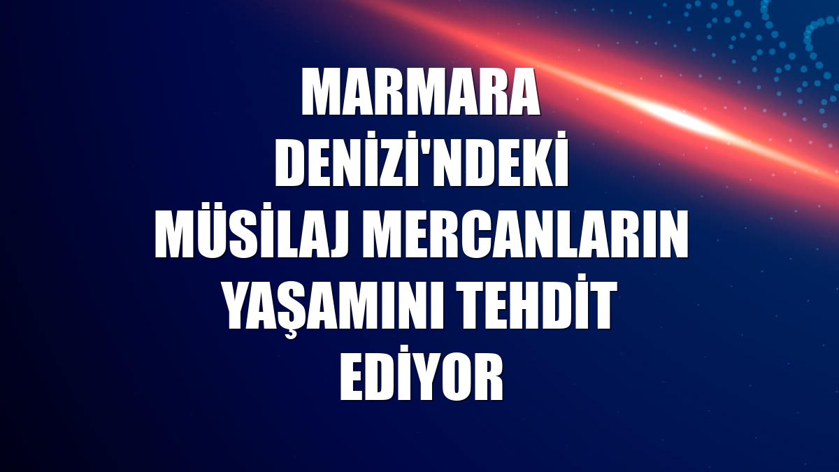 Marmara Denizi'ndeki müsilaj mercanların yaşamını tehdit ediyor