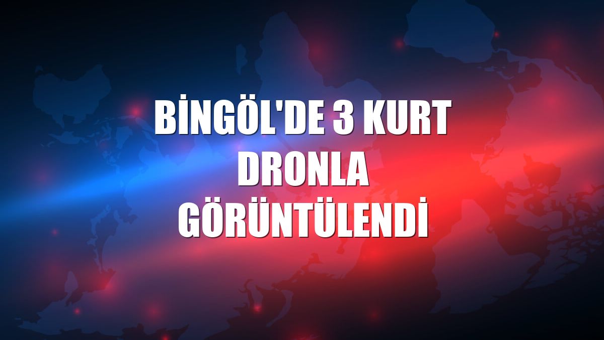 Bingöl'de 3 kurt dronla görüntülendi