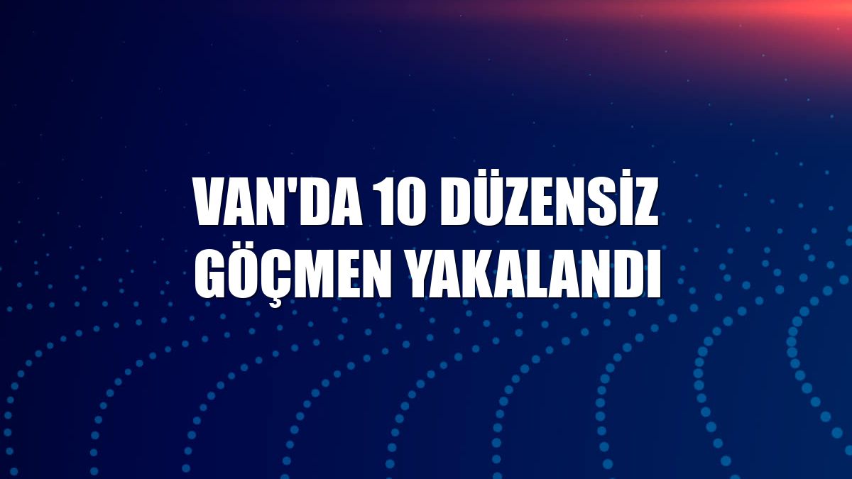 Van'da 10 düzensiz göçmen yakalandı