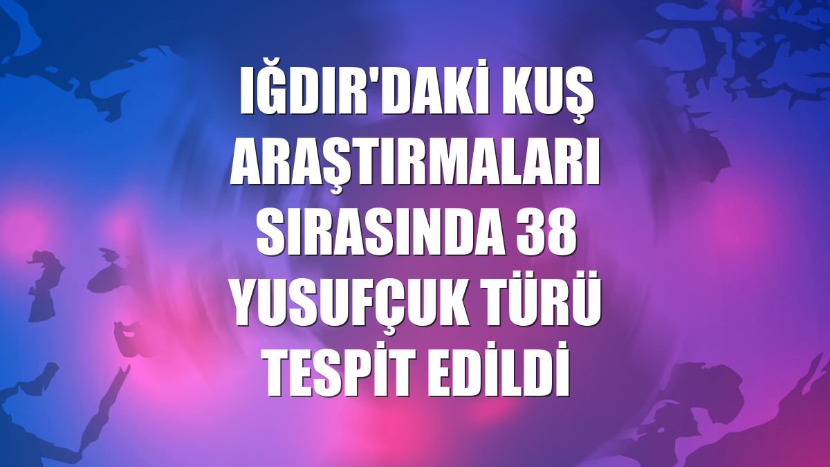 Iğdır'daki kuş araştırmaları sırasında 38 yusufçuk türü tespit edildi