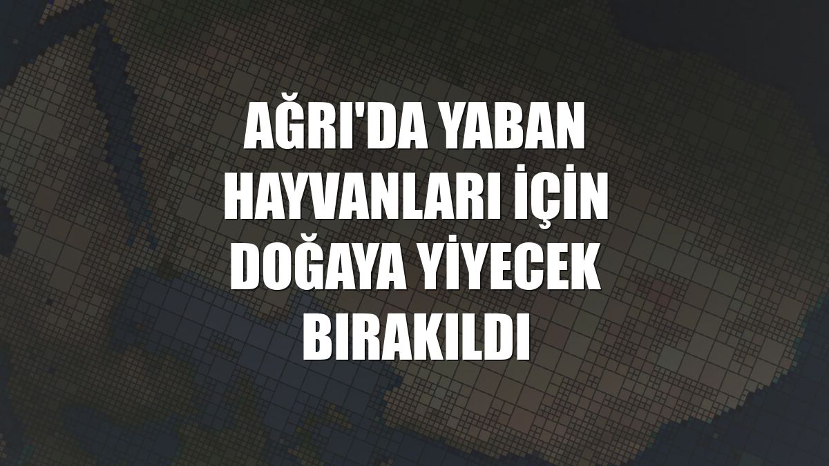 Ağrı'da yaban hayvanları için doğaya yiyecek bırakıldı