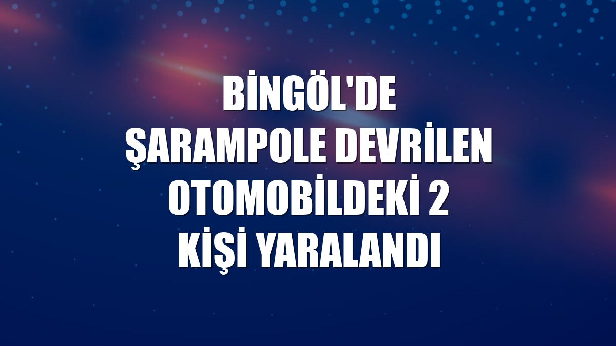 Bingöl'de şarampole devrilen otomobildeki 2 kişi yaralandı