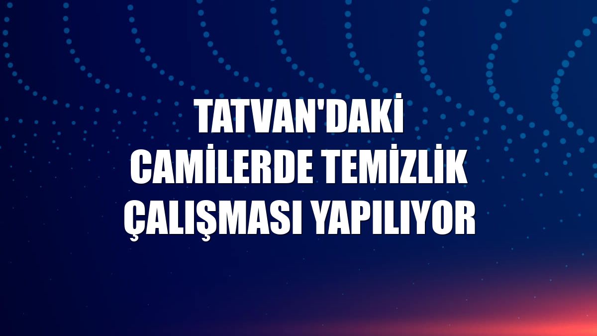 Tatvan'daki camilerde temizlik çalışması yapılıyor