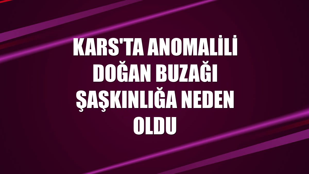 Kars'ta anomalili doğan buzağı şaşkınlığa neden oldu