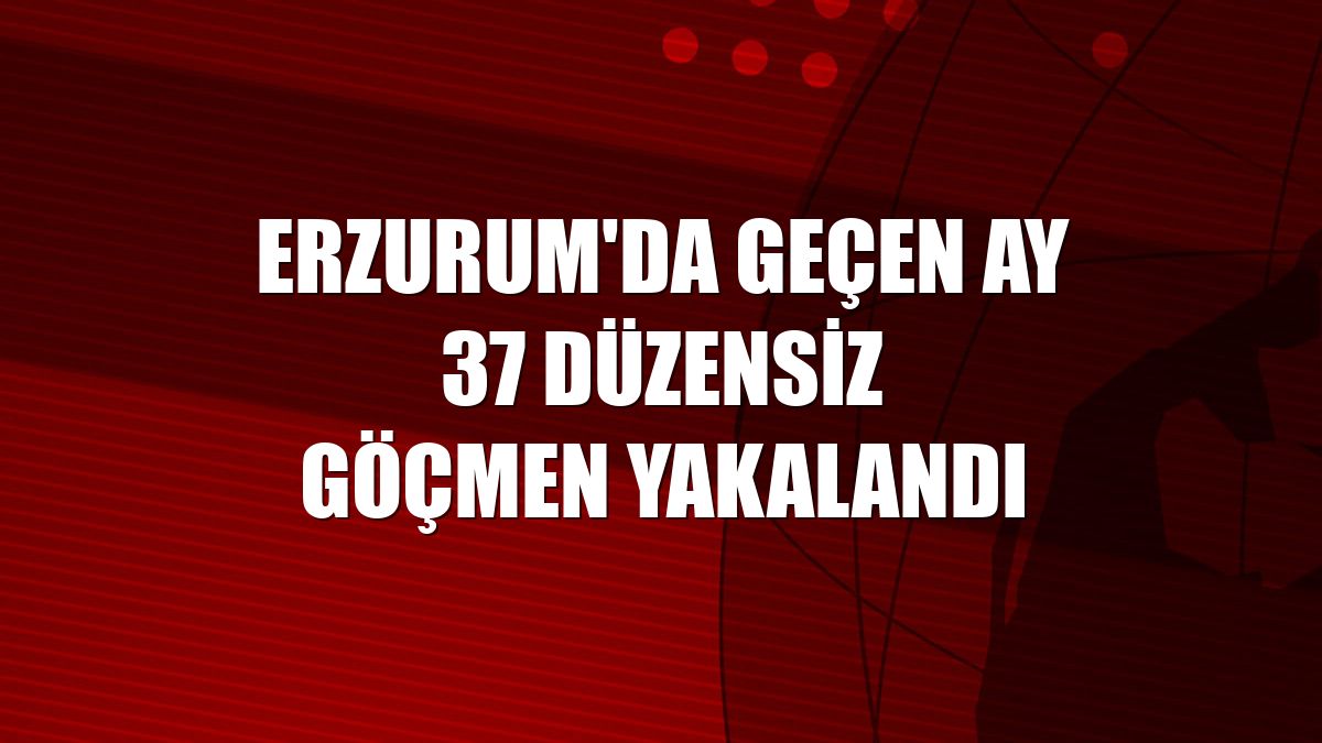 Erzurum'da geçen ay 37 düzensiz göçmen yakalandı