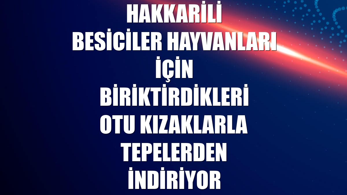 Hakkarili besiciler hayvanları için biriktirdikleri otu kızaklarla tepelerden indiriyor