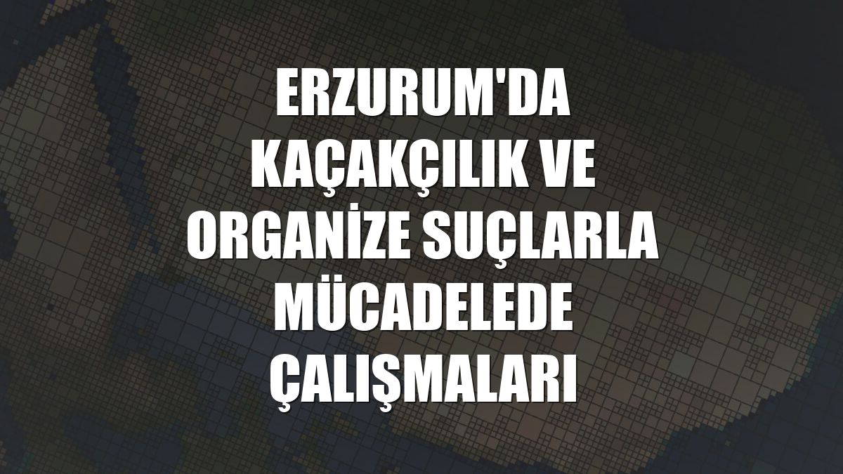 Erzurum'da kaçakçılık ve organize suçlarla mücadelede çalışmaları