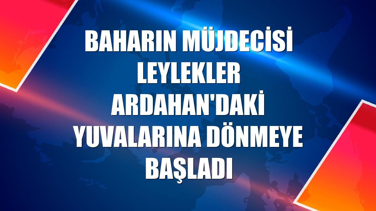 Baharın müjdecisi leylekler Ardahan'daki yuvalarına dönmeye başladı