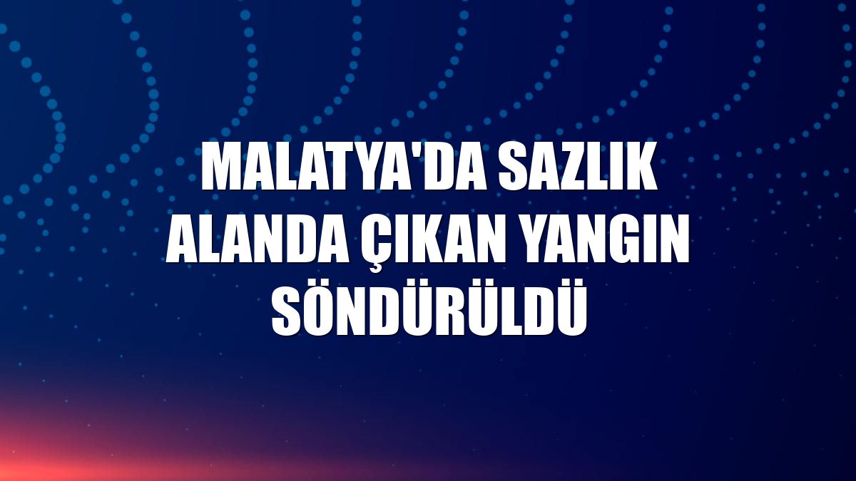 Malatya'da sazlık alanda çıkan yangın söndürüldü