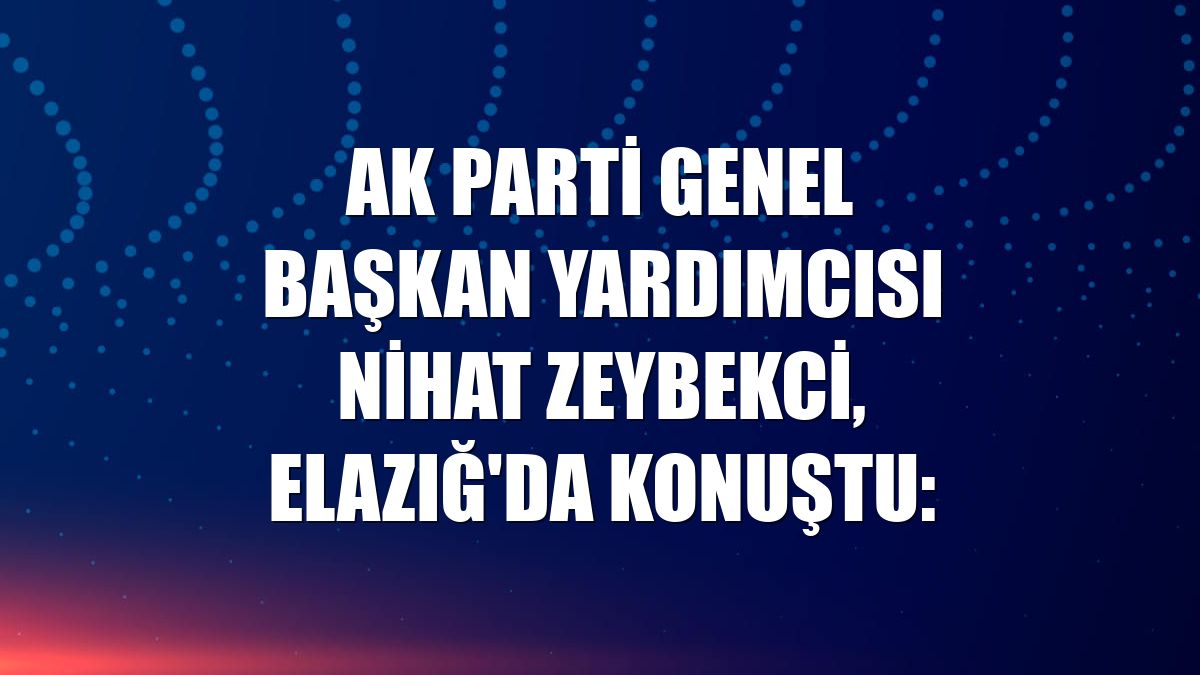 AK Parti Genel Başkan Yardımcısı Nihat Zeybekci, Elazığ'da konuştu: