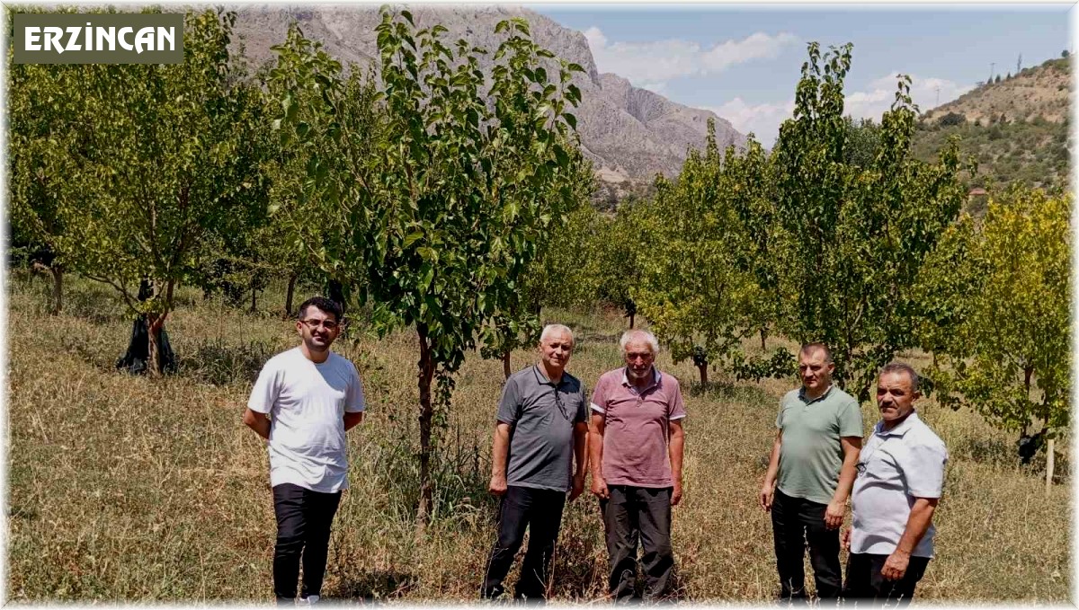 74 yaşındaki Kemaliyeli öğretmen 19 bin ağacı toprakla buluşturdu