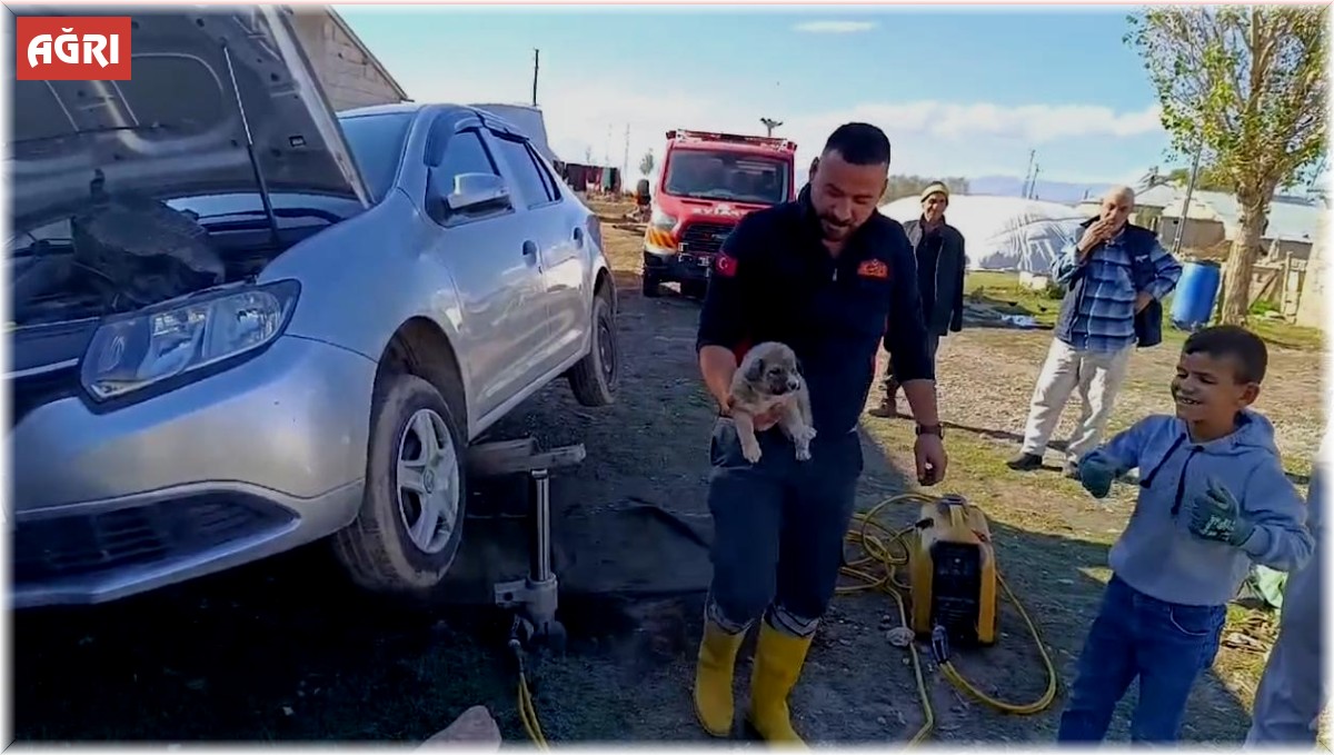 Ağrı'da araçta sıkışan yavru köpeği itfaiye ekibi kurtardı