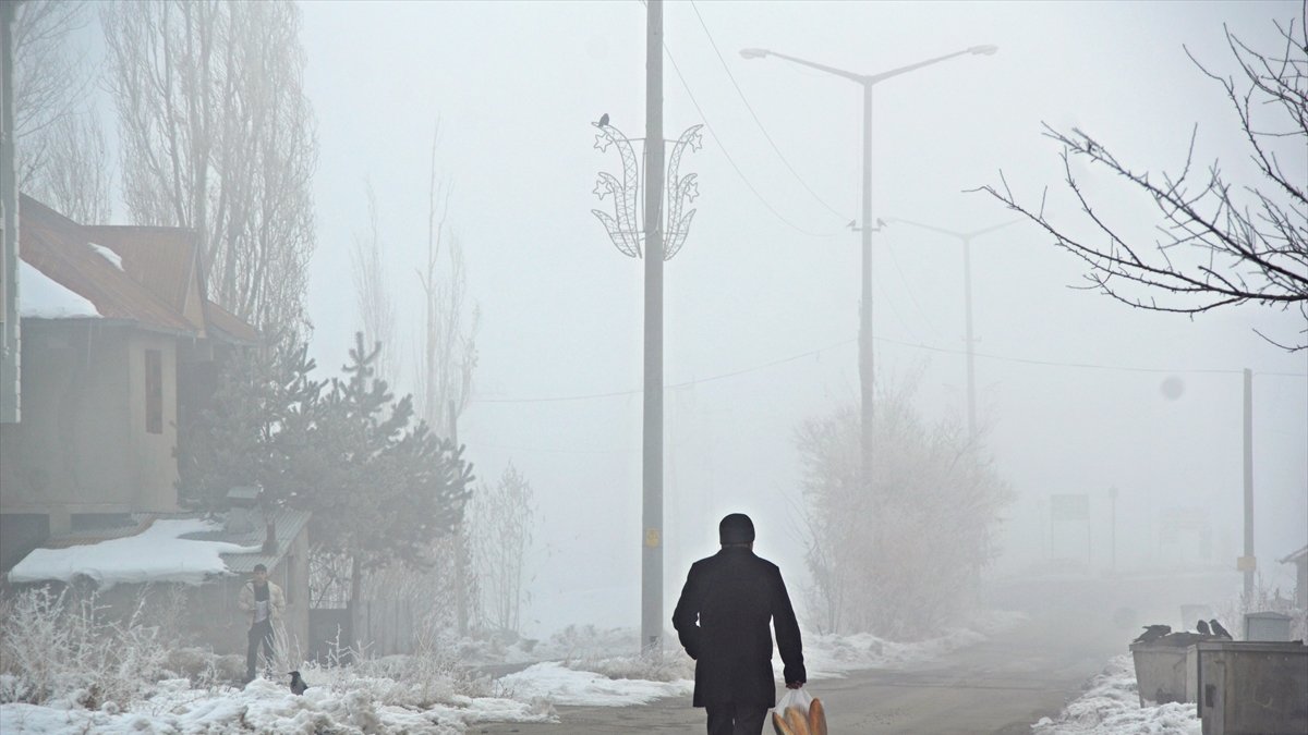 Ağrı'da soğuk hava etkili oldu