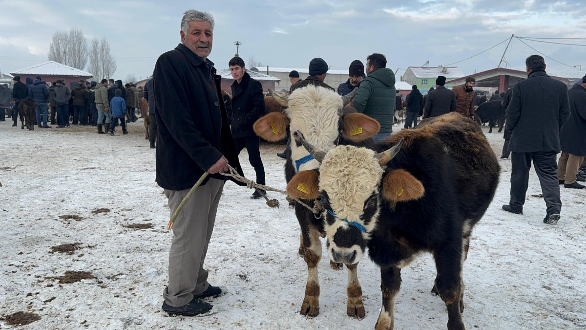 Ağrı Hayvan Pazarı'nda dondurucu soğuk çileye dönüştü