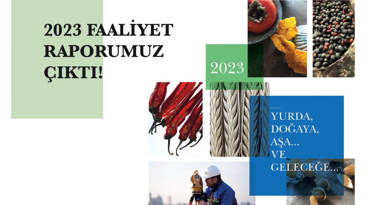 Aksa Doğalgaz, 2030'a kadar 1,5 milyar dolar yatırım hedefliyor