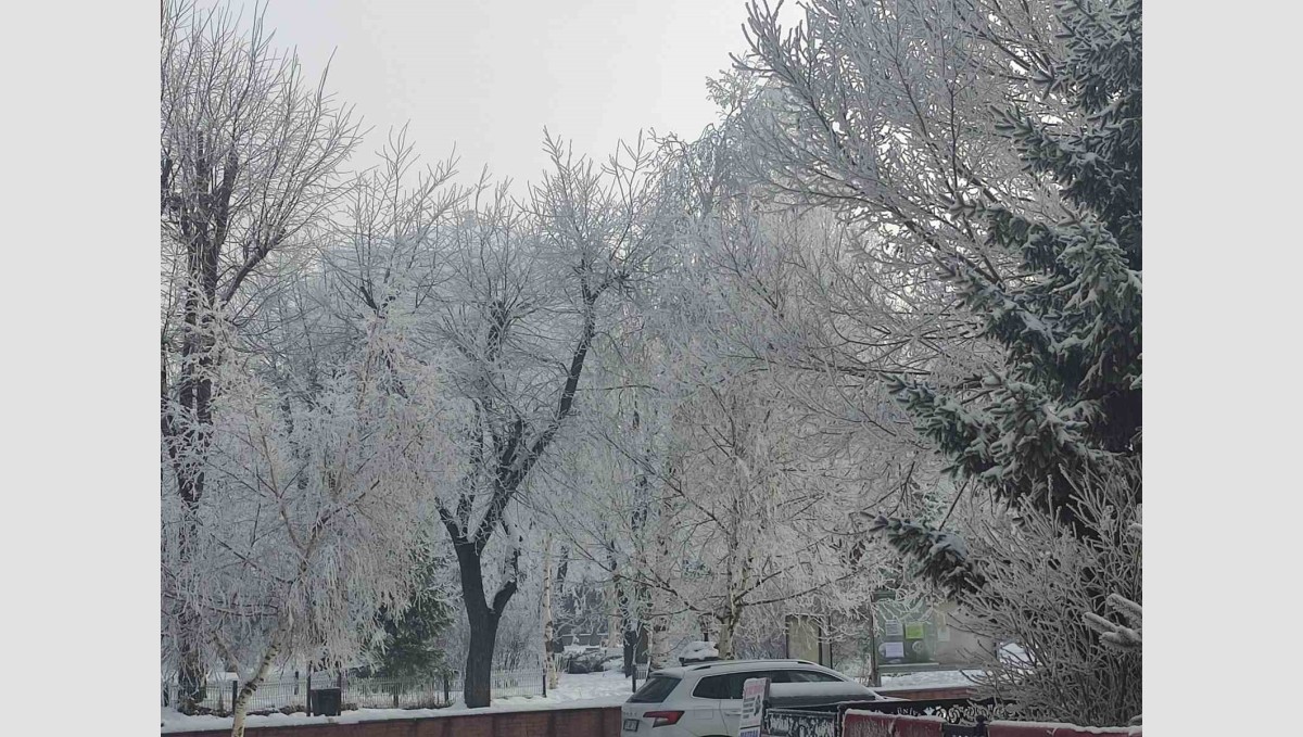 Ardahan'da Sibirya soğukları: Göle eksi 19