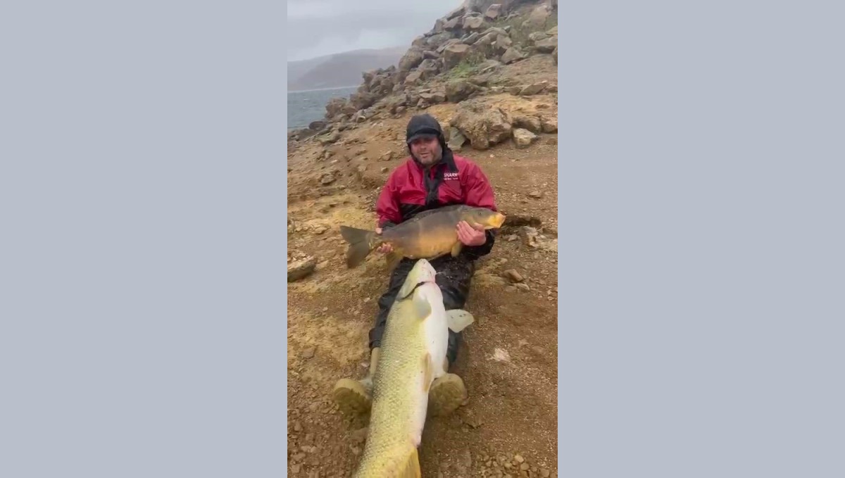 Barajda tuttuğu 30 kiloluk balığı bebek gibi ayağında sallayıp ninni söyledi