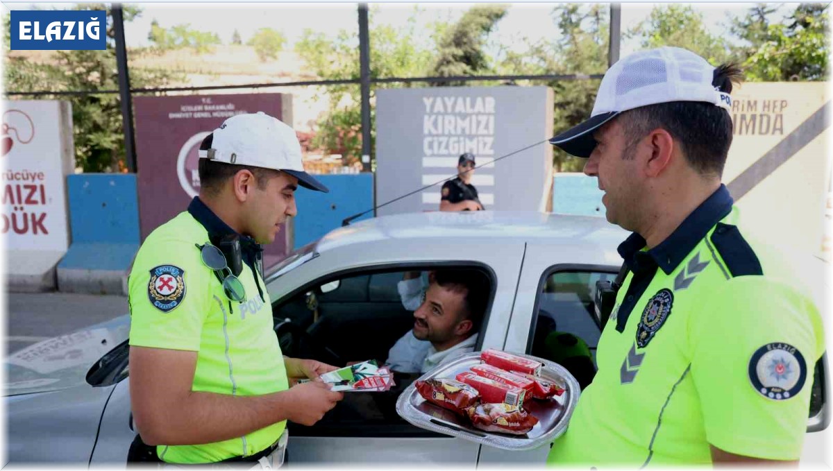 Bayram tatili dönüşünde trafik denetimleri arttı