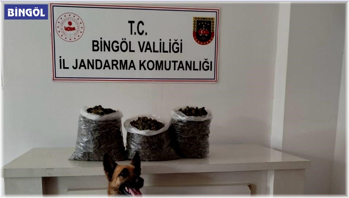 Bingöl'de 4,5 kilo esrar ele geçirildi