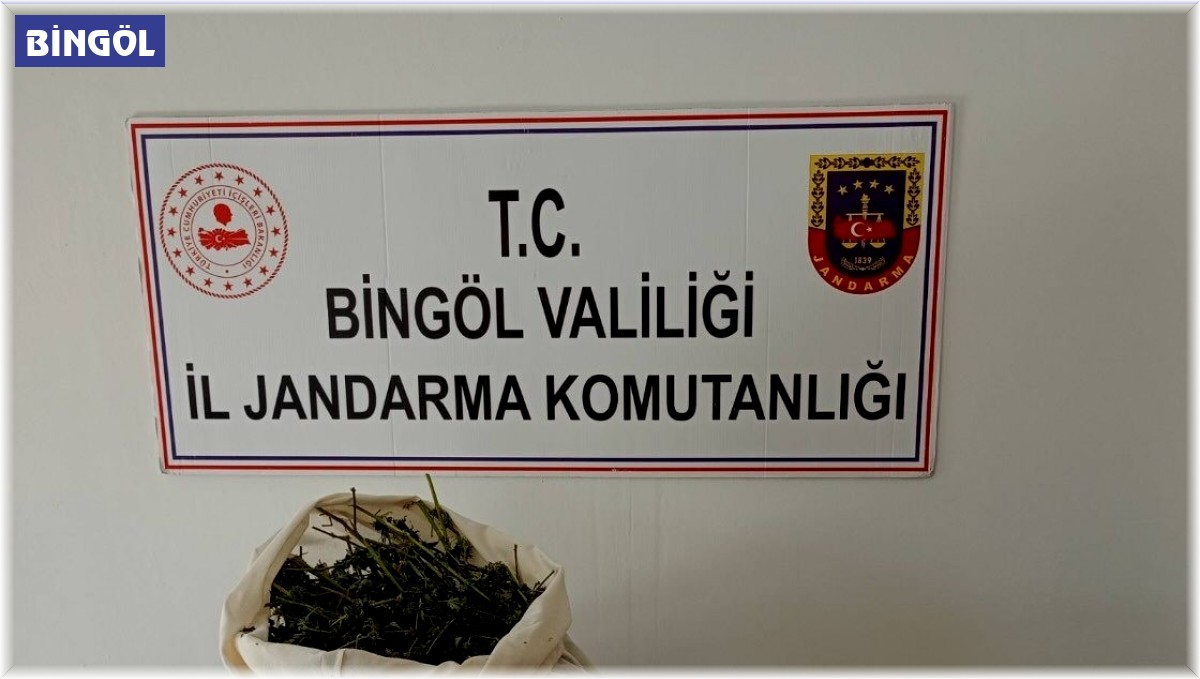 Bingöl'de 7 kilo esrar ele geçirildi