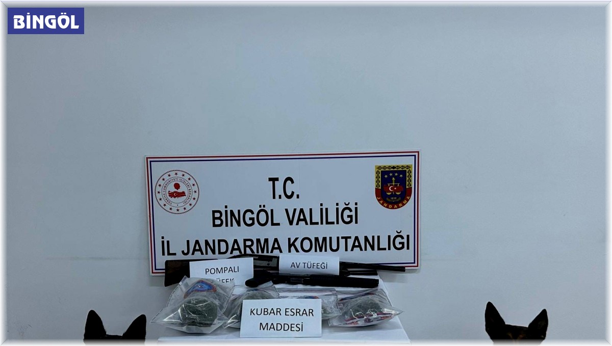 Bingöl'de 7 şüpheli gözaltına alındı