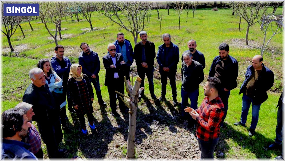 Bingöl'de ağaç budama ve aşılama eğitimi başladı